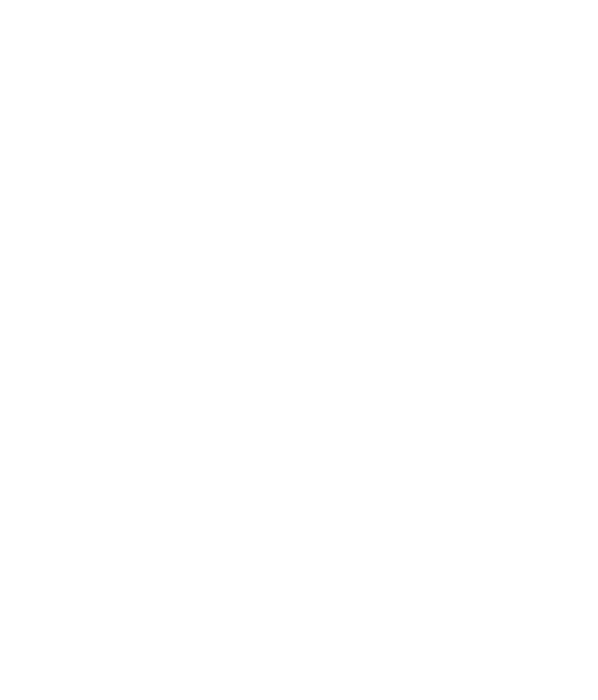 Run It Up Records